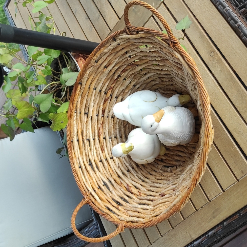 Basket Across the widest part 21" Height 7,5"